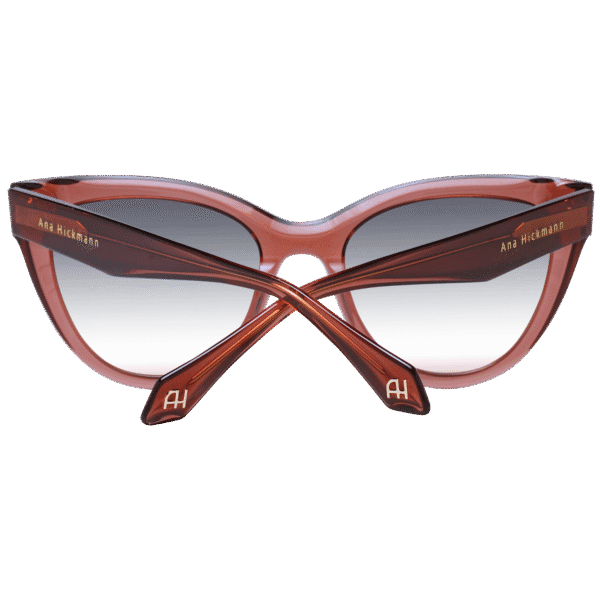 Vue arrière – Ana Hickmann AH9367 53T02 : monture