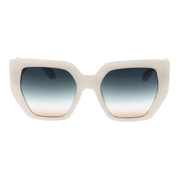 Ana Hickmann AH9387 55E01 – vue de face avec monture  et verres