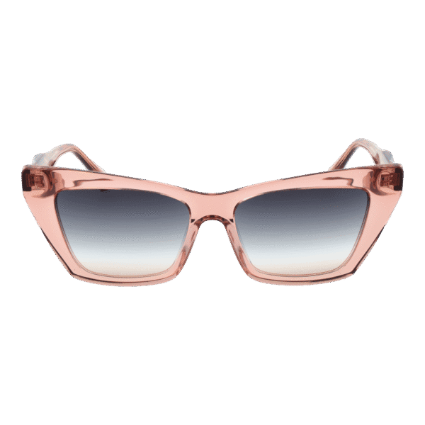 Ana Hickmann AH9390 54T02 – vue de face avec monture  et verres