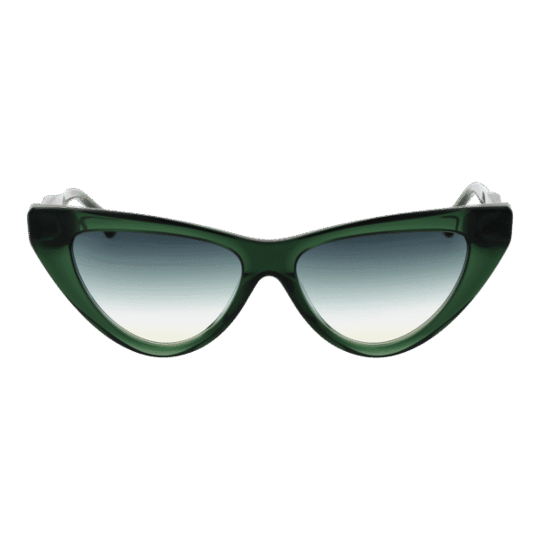 Ana Hickmann AH9391 56T01 – vue de face avec monture  et verres