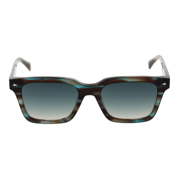 Ana Hickmann HI9172 52E01 – vue de face avec monture et verres