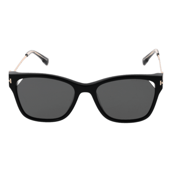 Ana Hickmann HI9173 54A01 – vue de face avec monture  et verres
