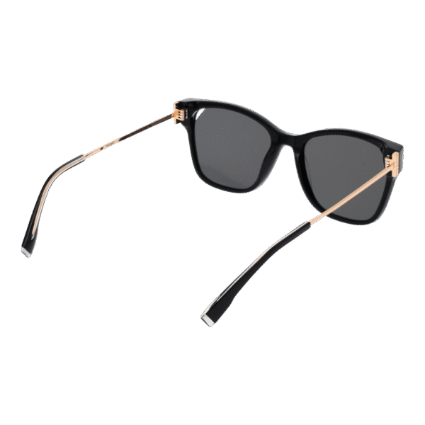 Vue arrière – Ana Hickmann HI9173 54A01 : monture