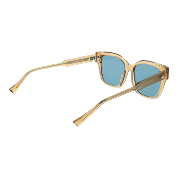 Vue arrière – Ana Hickmann HI9188 54T02 : monture