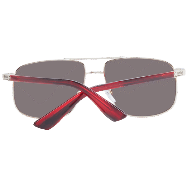 Vue arrière – BMW BW0031 5733L : monture