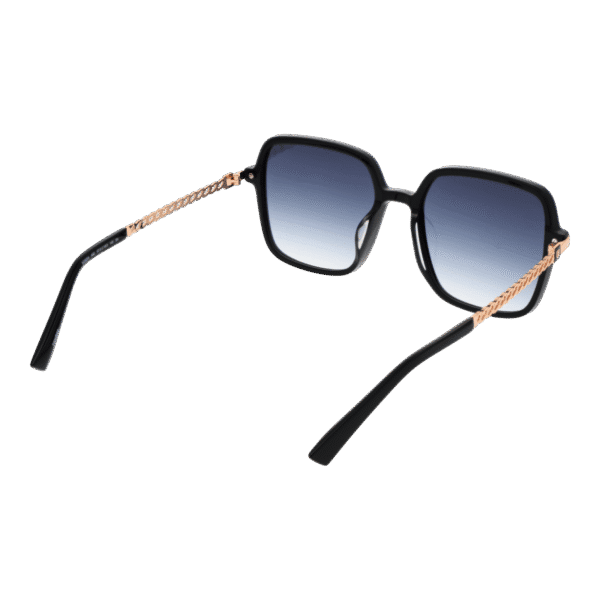 Vue arrière – Bulget BG9204 57A02 : monture
