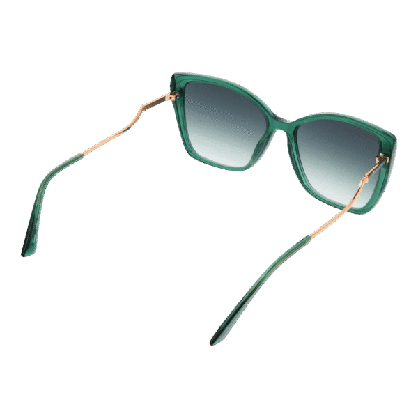 Vue arrière – Bulget BG9220 56T01 : monture