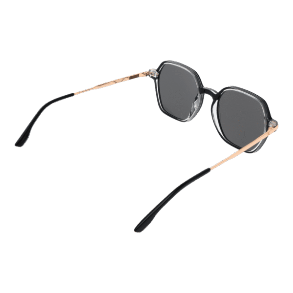 Vue arrière – Bulget BGY9006 51H01 : monture
