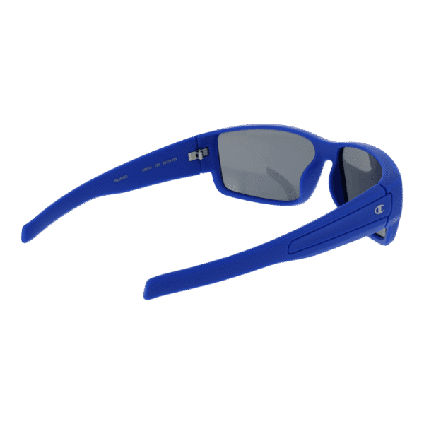 Vue arrière – Champion CU5146 63C02 : monture