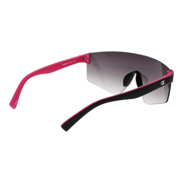 Vue arrière – Champion CUW5206 135C01 : monture