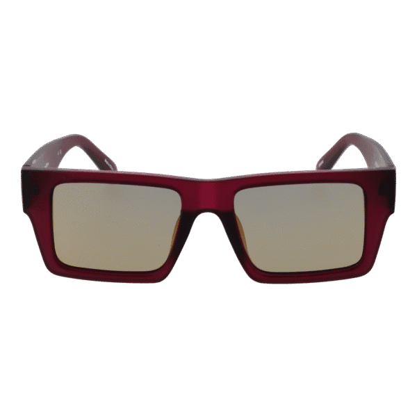 Champion CUW5228 54C01 – vue de face avec monture  et verres