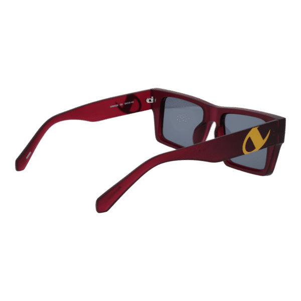 Vue arrière – Champion CUW5228 54C01 : monture