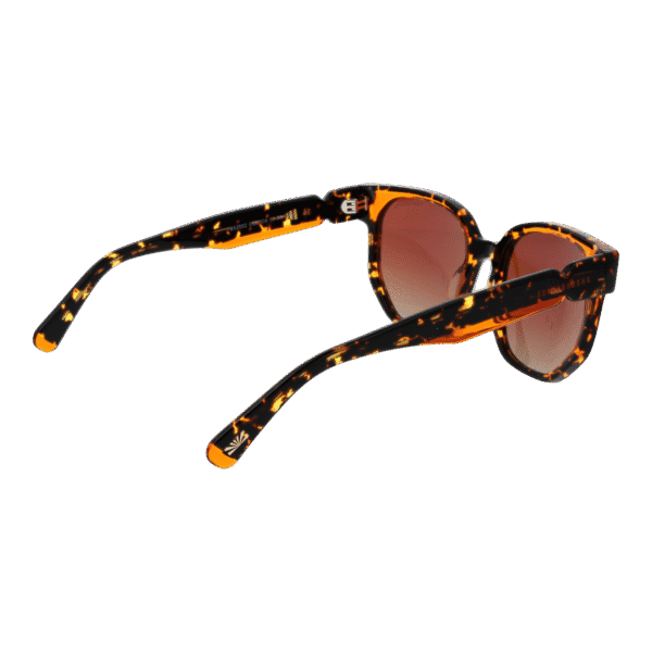 Vue arrière – Funky Buddha FBS2052 53004 : monture