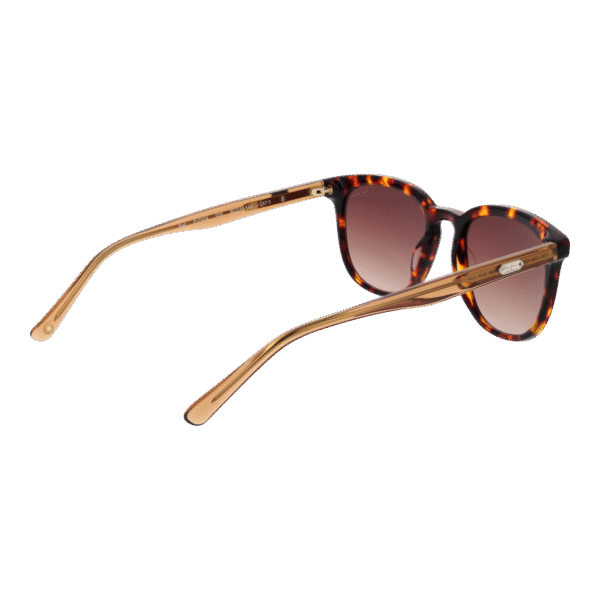 Vue arrière – Pepe Jeans PJ7434 52010 : monture
