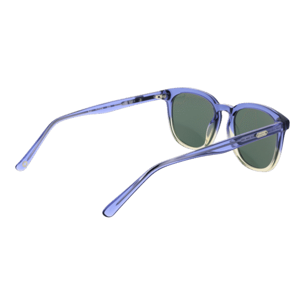 Vue arrière – Pepe Jeans PJ7434 52649 : monture