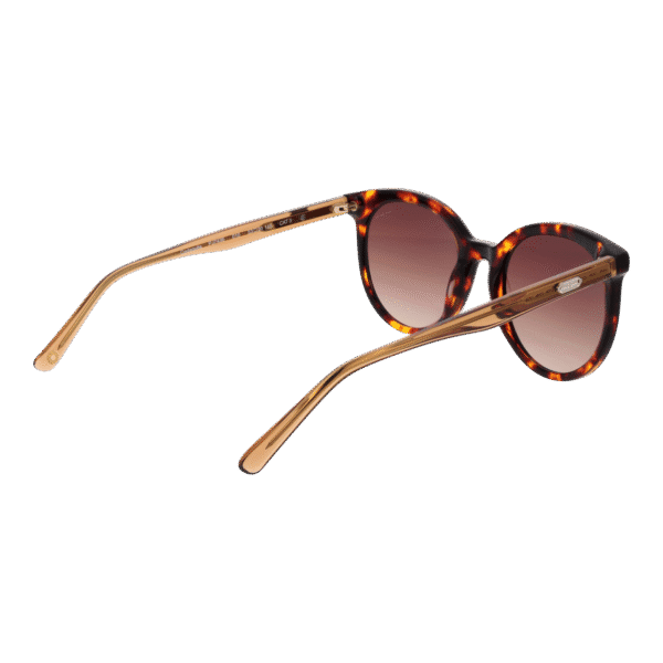 Vue arrière – Pepe Jeans PJ7436 53010 : monture