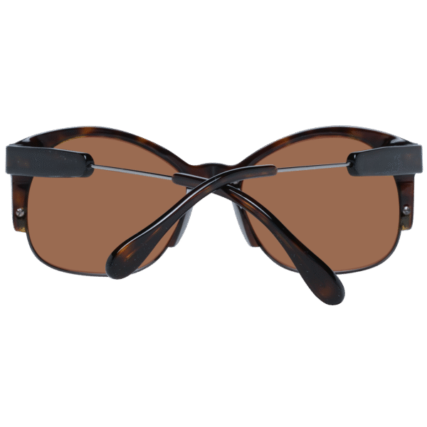 Vue arrière – Serengeti SS529001 53 : monture