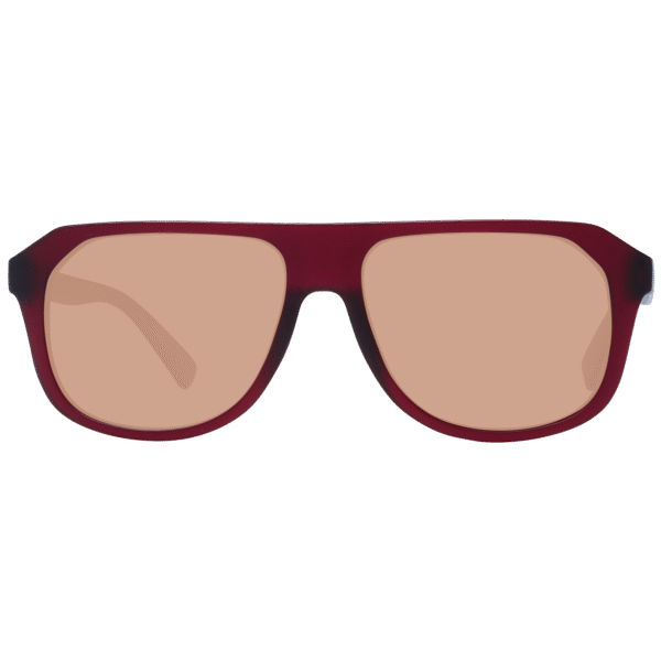 Vue arrière – Serengeti SS535004 57 : monture