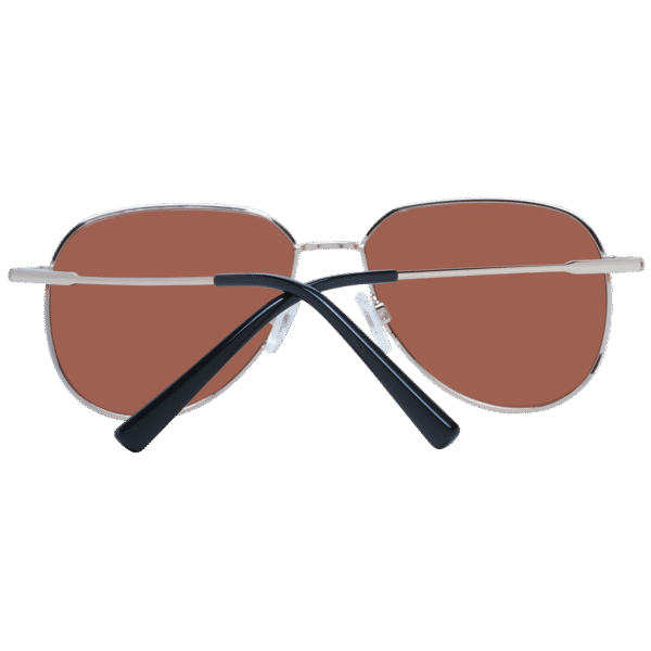 Vue arrière – Serengeti SS544002 55 : monture