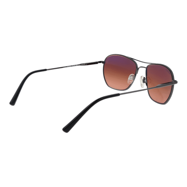Vue arrière – Serengeti SS545003 Lunger : monture