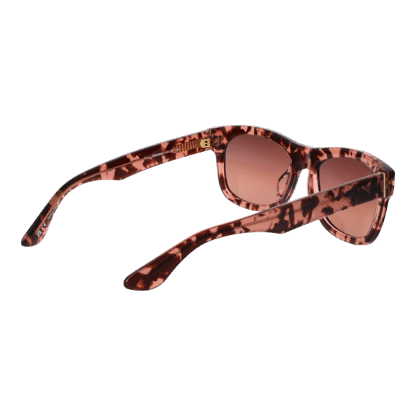 Vue arrière – Serengeti SS549002 Foyt : monture