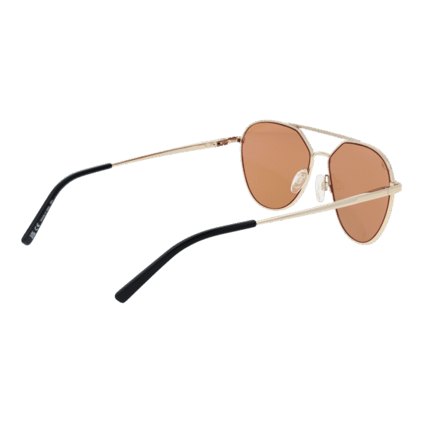 Vue arrière – Serengeti SS555001 : monture