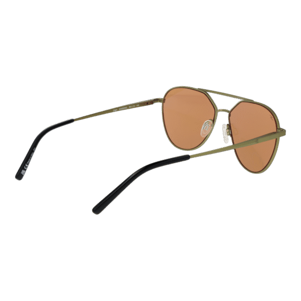 Vue arrière – Serengeti SS555002 : monture