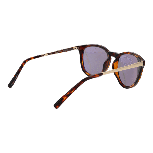 Vue arrière – Serengeti SS556001 Brawley : monture