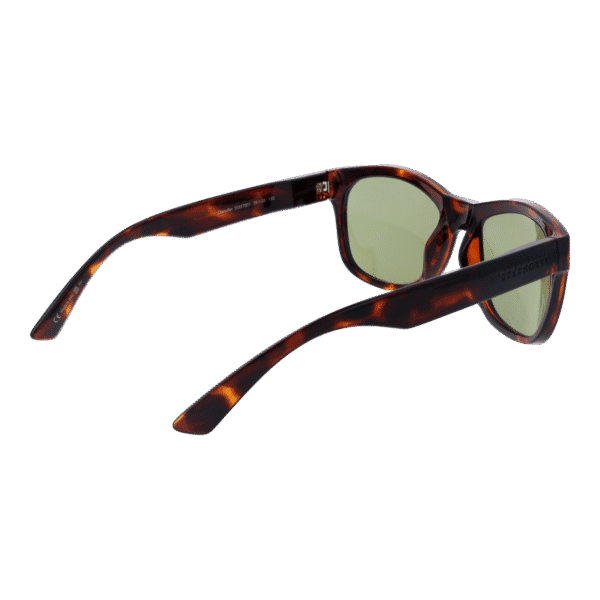 Vue arrière – Serengeti SS557001 : monture