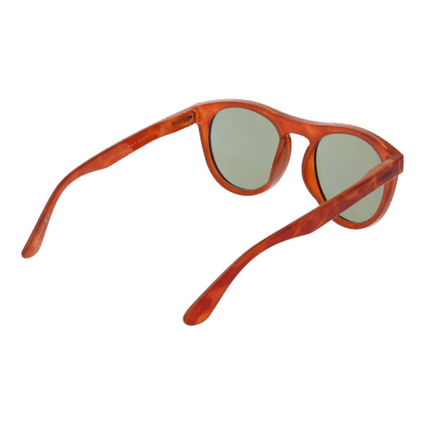 Vue arrière – Serengeti SS572002 : monture