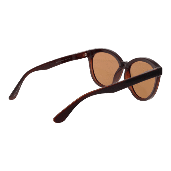 Vue arrière – Serengeti SS573002 : monture