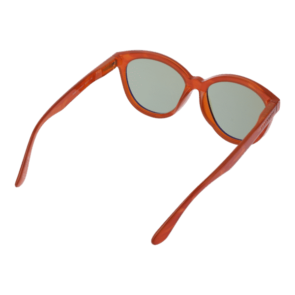 Vue arrière – Serengeti SS573006 : monture