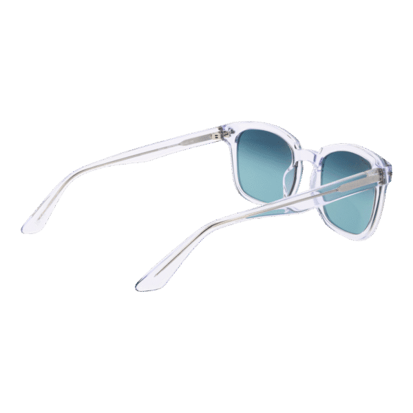 Vue arrière – Serengeti SS575002 Ethan : monture