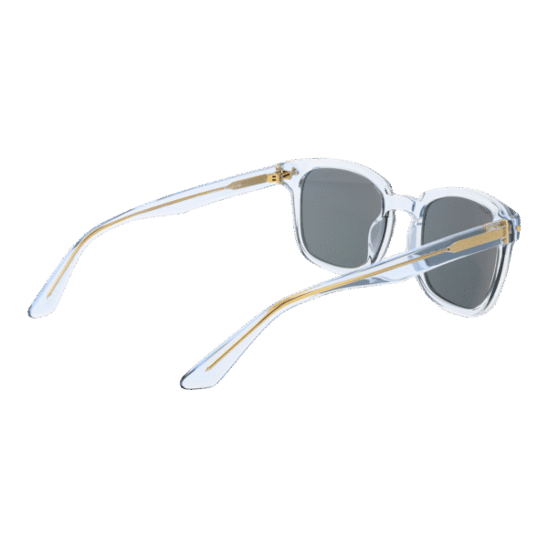 Vue arrière – Serengeti SS575005 Ethan : monture