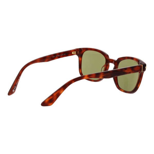 Vue arrière – Serengeti SS575006 Ethan : monture