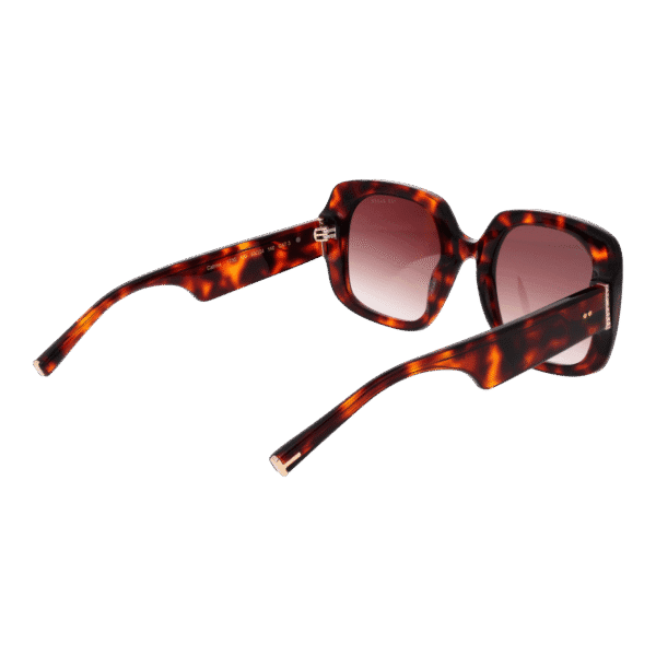Vue arrière – Ted Baker TB1730 53100 : monture