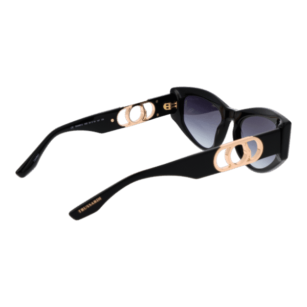 Vue arrière – Trussardi TSW9013 54A02 : monture