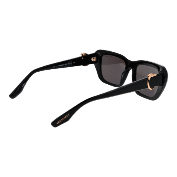 Vue arrière – Trussardi TSW9024 54A01 : monture