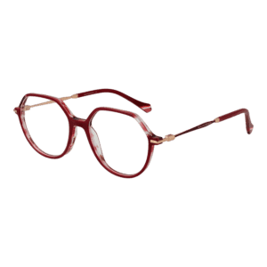 Monture Ana Hickmann AH6480 52H02 – lunettes de vue Panto Femmes