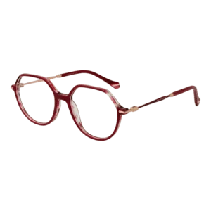Monture Ana Hickmann AH6480 52H02 – lunettes de vue Panto Femmes