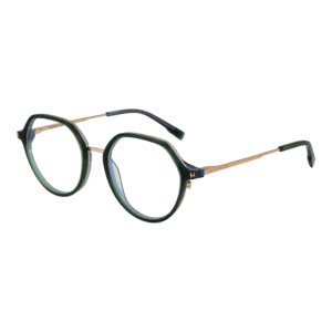 Monture Ana Hickmann HI6255 52T01 – lunettes de vue Panto Femmes