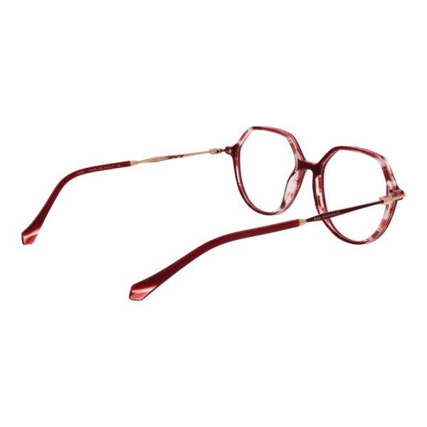 Détails branches – lunette Ana Hickmann AH6480 52H02 en Acétate