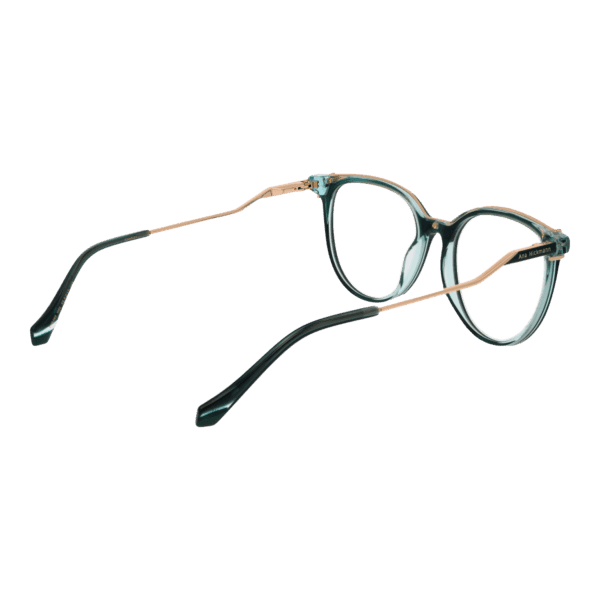 Détails branches – lunette Ana Hickmann AH6483 53H02 en Acétate