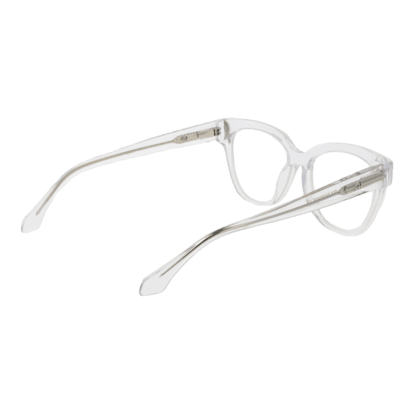 Détails branches – lunette Ana Hickmann AH6491 52T01 en Acétate