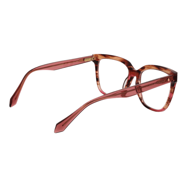 Détails branches – lunette Ana Hickmann AH6497 53E01 en Acétate