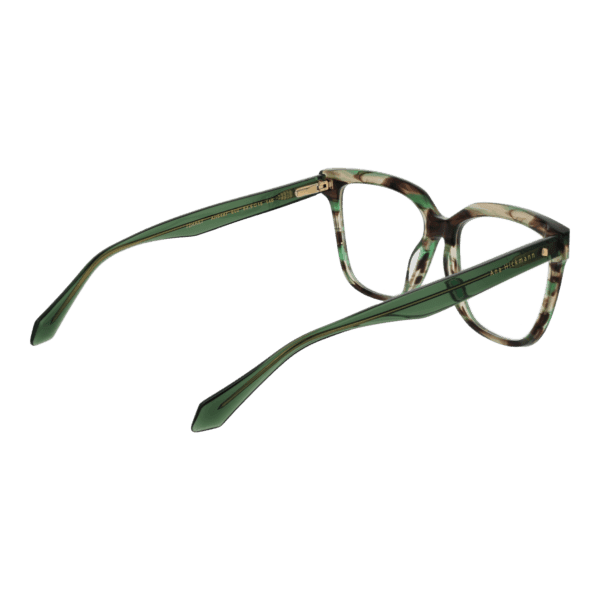 Détails branches – lunette Ana Hickmann AH6497 53E02 en Acétate