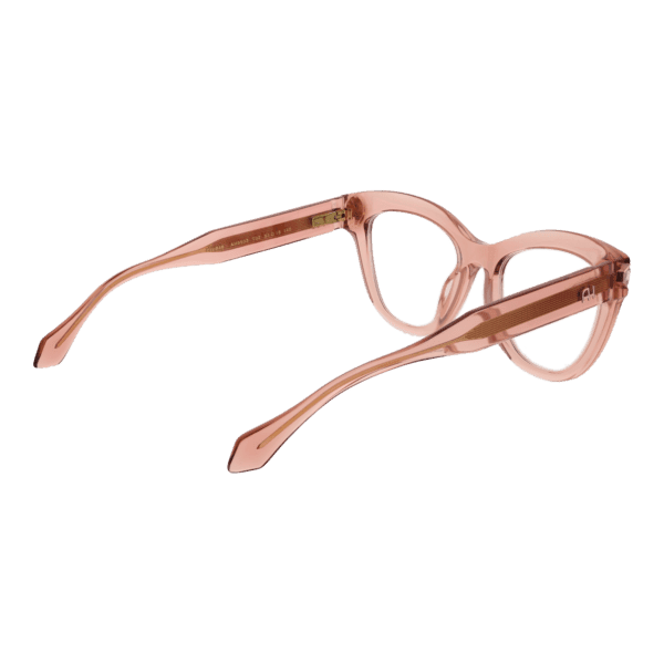 Détails branches – lunette Ana Hickmann AH6503 51T02 en Acétate