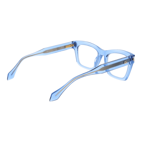 Détails branches – lunette Ana Hickmann AH6504 52T02 en Acétate