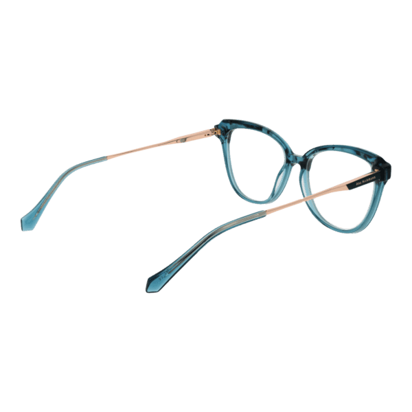 Détails branches – lunette Ana Hickmann AH6506 54G21 en Acétate