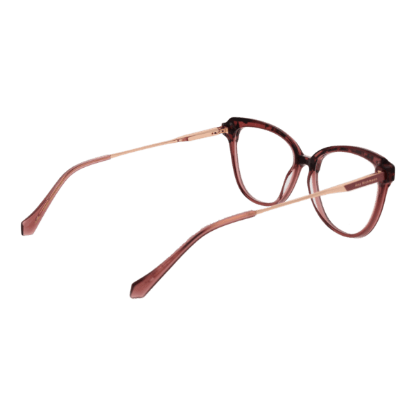 Détails branches – lunette Ana Hickmann AH6506 54G22 en Acétate